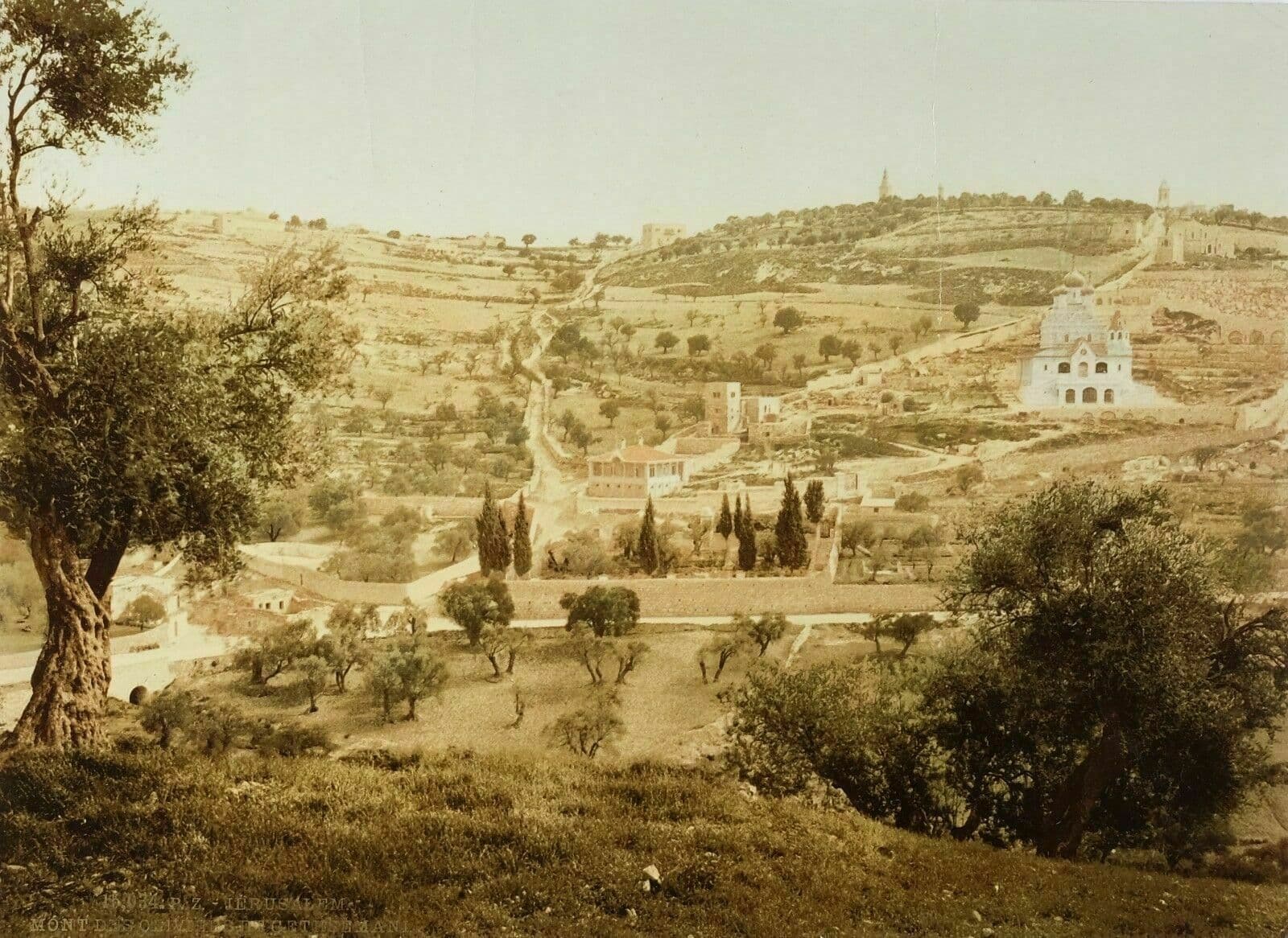Photographs PZ PHOTOCHROME Jerusalem Mount of Olives c.1899