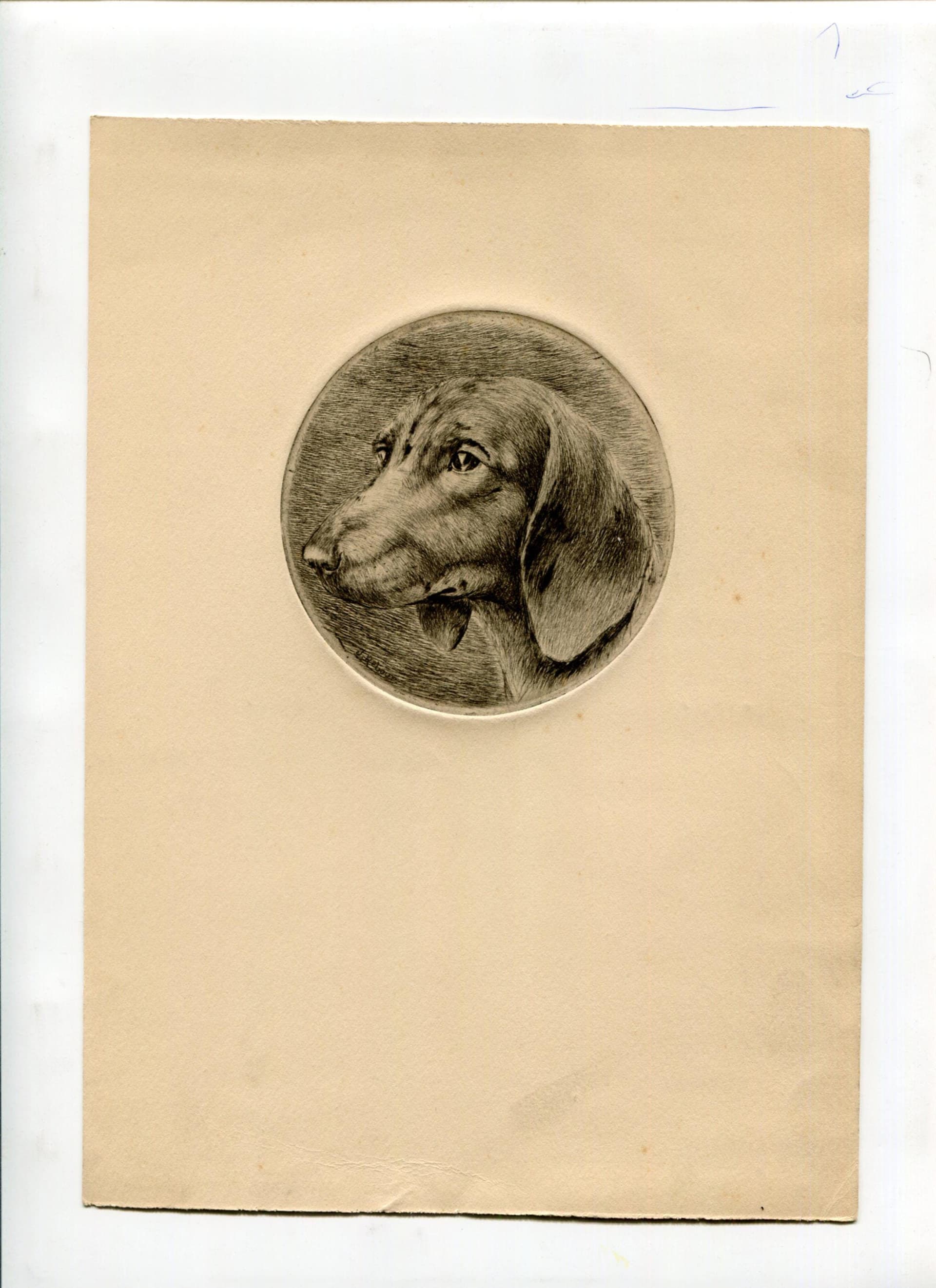 Dachshund Etching 19th Century Animal Art Jacques REBOUR (XX) Dog Portrait