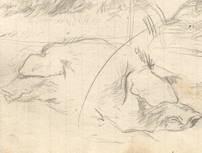 Vintage Pencil Drawing Original Profil, Head of a Pig, Animals