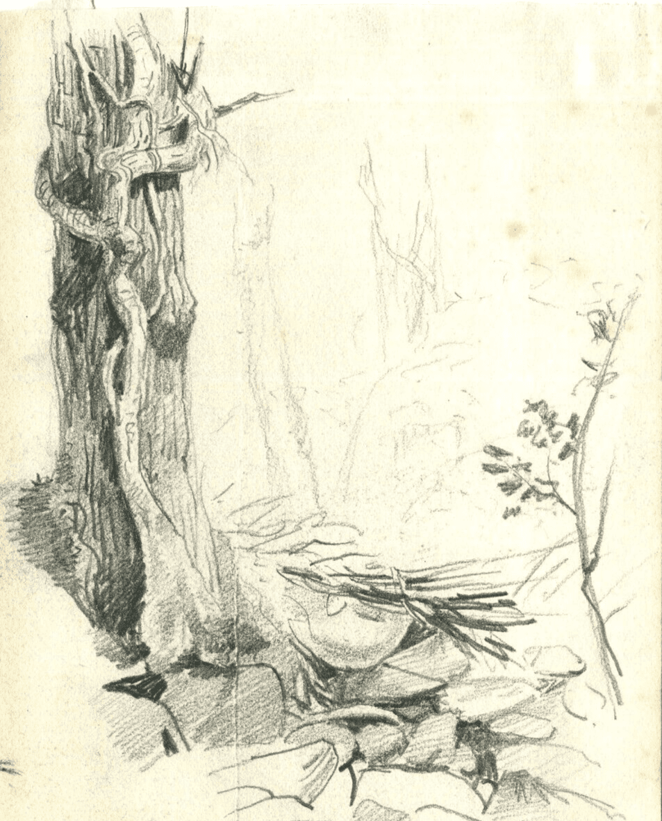 Vintage Pencil Drawing Landscape Oak surrounded by Stone