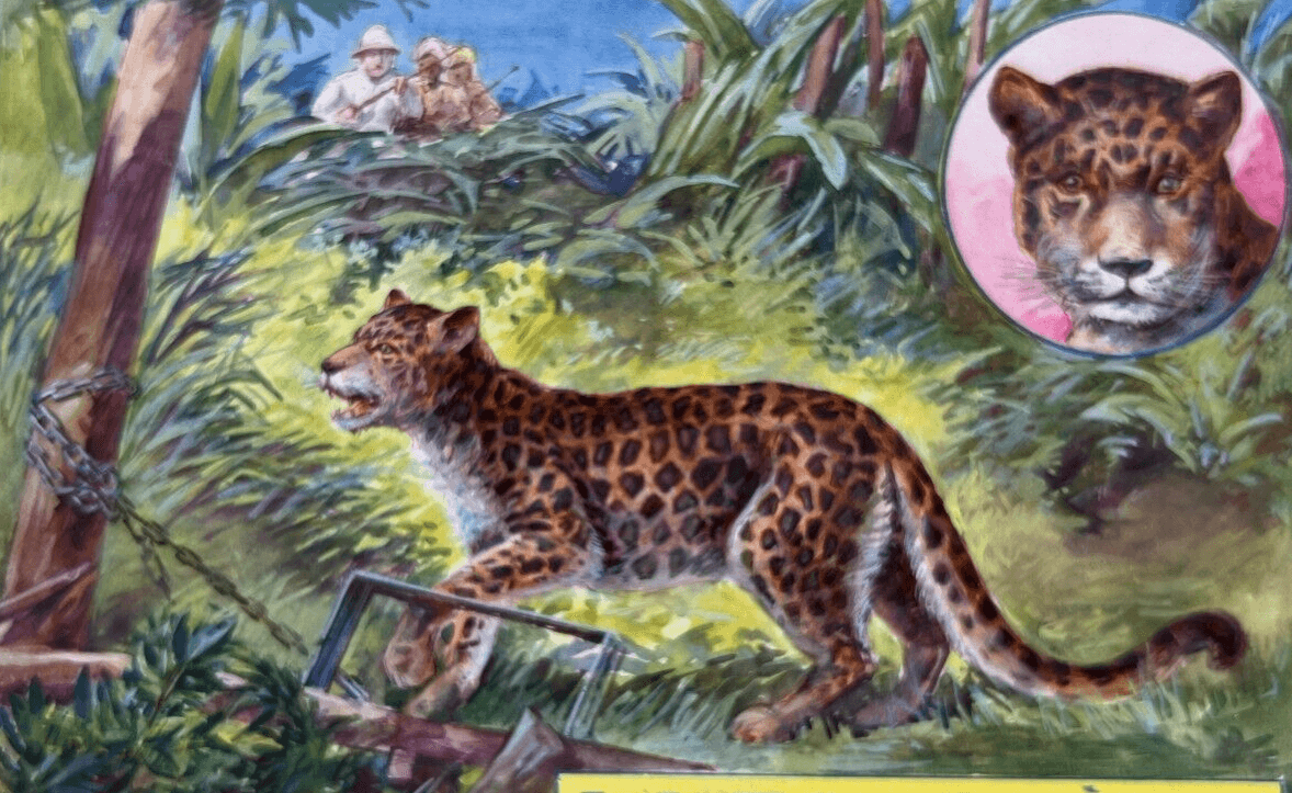 Drawing Gouache Illustration Panthers image 1