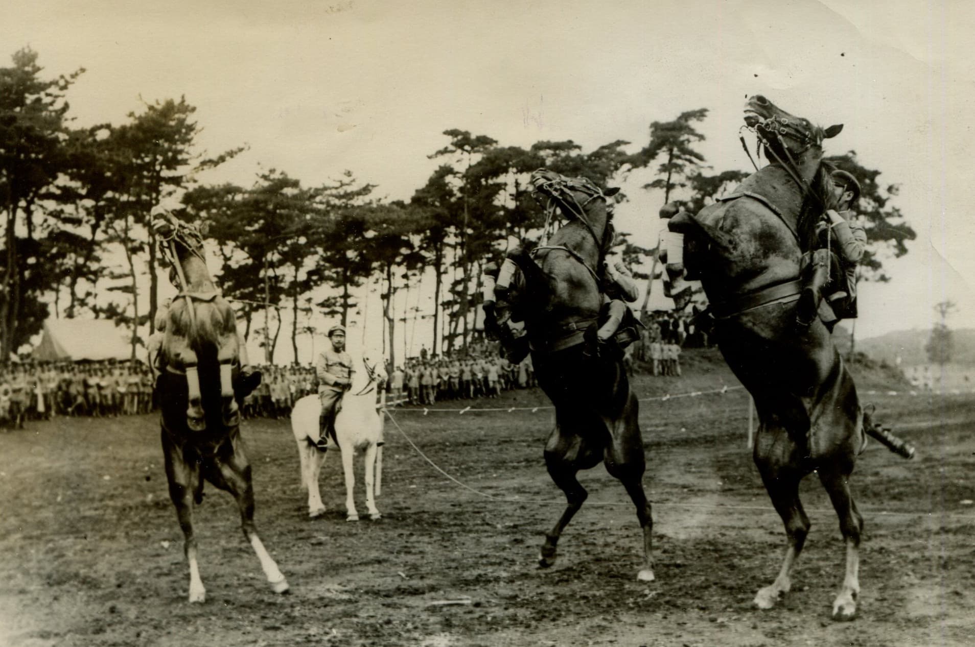 The Crown Prince Life in Japan 1920' image 1