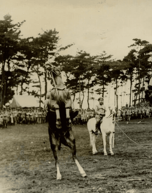 Vintage Photography Original Horses The Crown Prince Life in Japan 1920' image 2