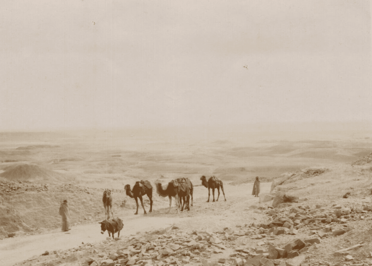 Vintage Photographs Orientalism Algeria, Mountain, People, Camels