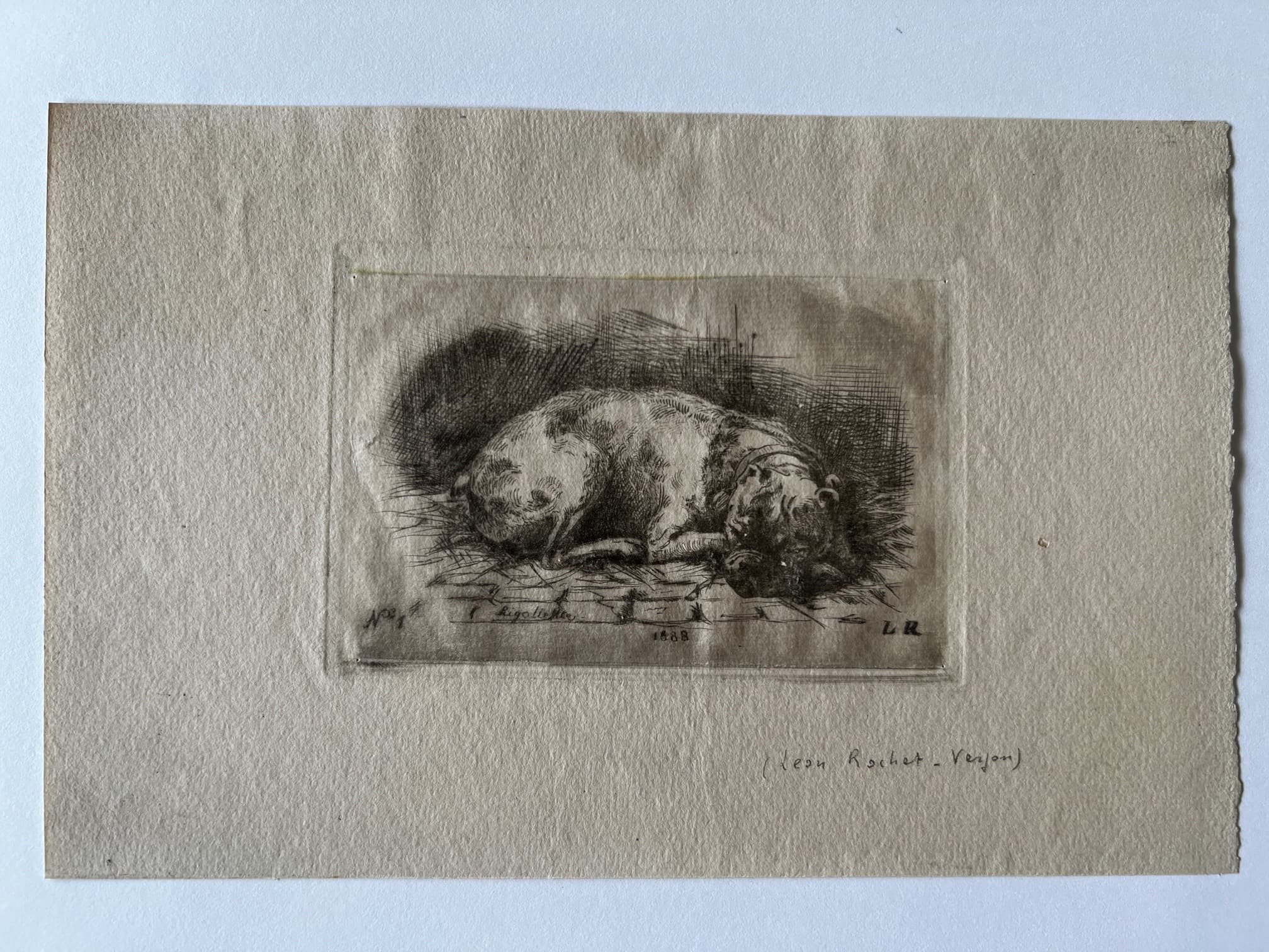 Leon Rochet-Verjon 1888, Dog Etching image 2
