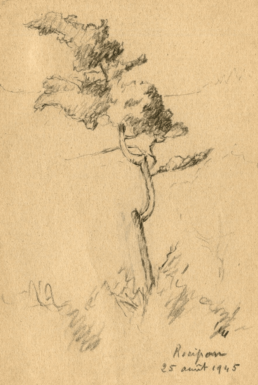 Vintage Pencil Original Drawing signed Tree Landscape Recipon 1945