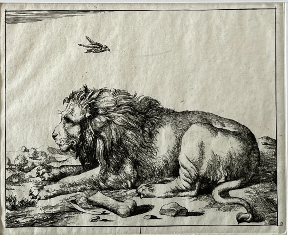 Marcus de Bye (1831-1688) Lions Engravings