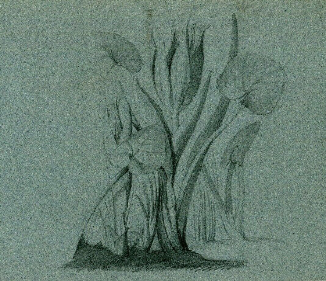 Drawing Flower on Blue paper image 1