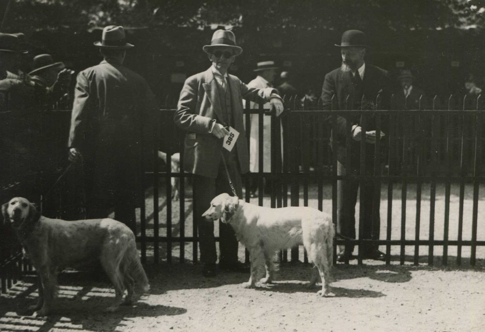 Dog Show Vintage Photograph