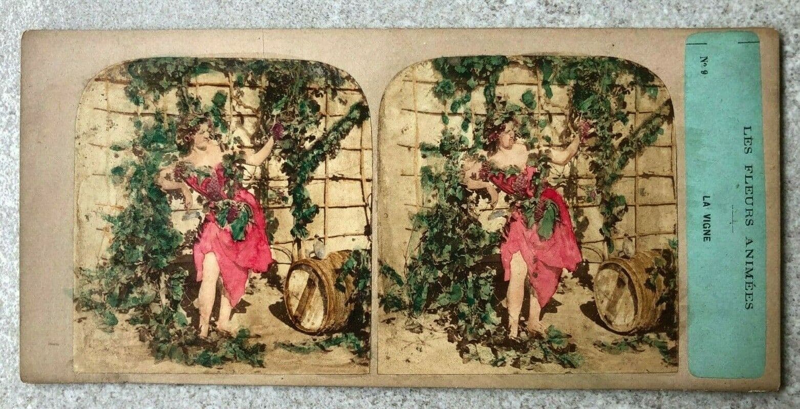 Vintage Stereoview Figures and Flowers, Furne & Tournier, Albumen c.1860 x9