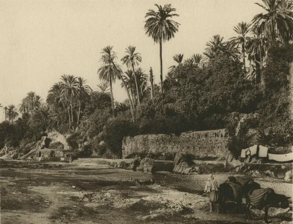 Vintage Photographs R. PROUHO Bou Saada Oued in the oasis, Algeria c.1910