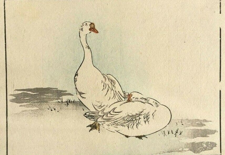 Japanese Antique Goose Animal Woodprint c. 1830 Asian Art Print Ukiyo-e