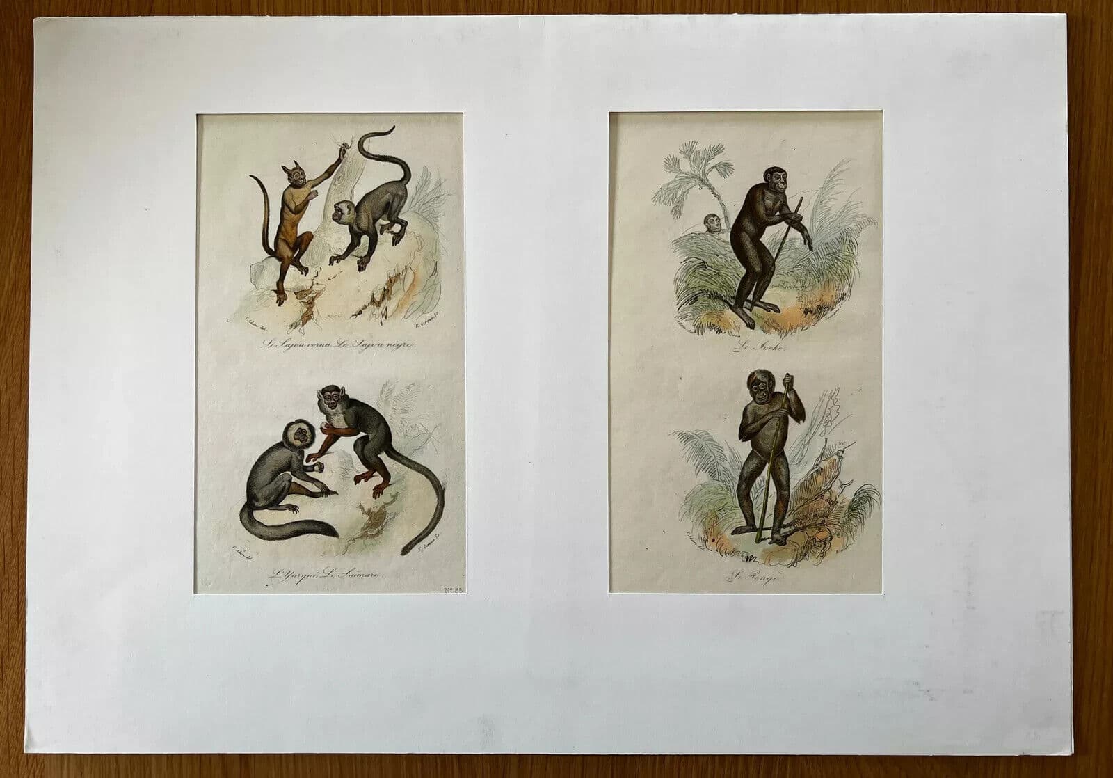 Antique Print Original Monkeys Playing 19th century image 7