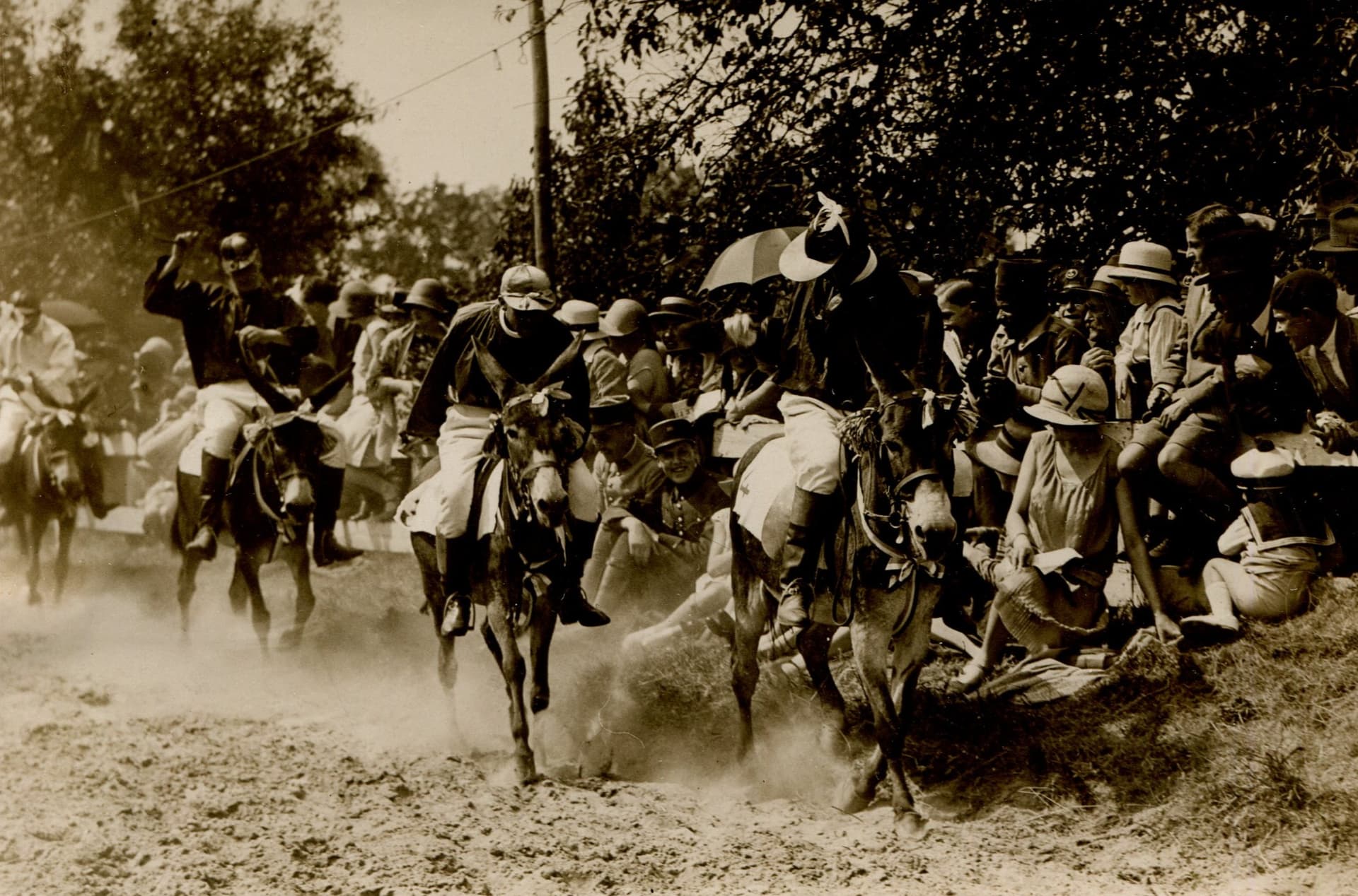 Donkey Race Vintage Original Photography