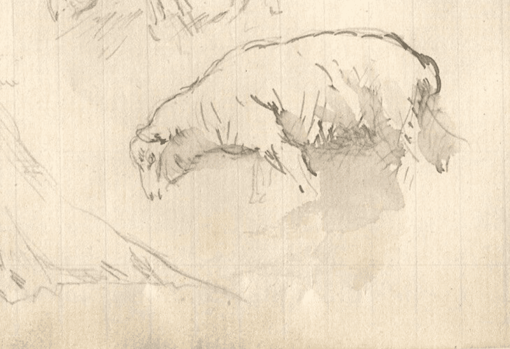 Vintage Ink Original Drawing Animals, Sheep, Cow, Stable image 3