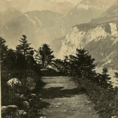 CDV Vintage Photographs Ad BRAUN - Landscape Switzerland Grutli c.1870