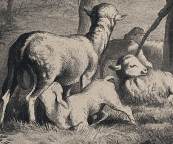 Antique Drawing Original Farmer, Sheep, Landscape, Farmer, Work 1853 image 4