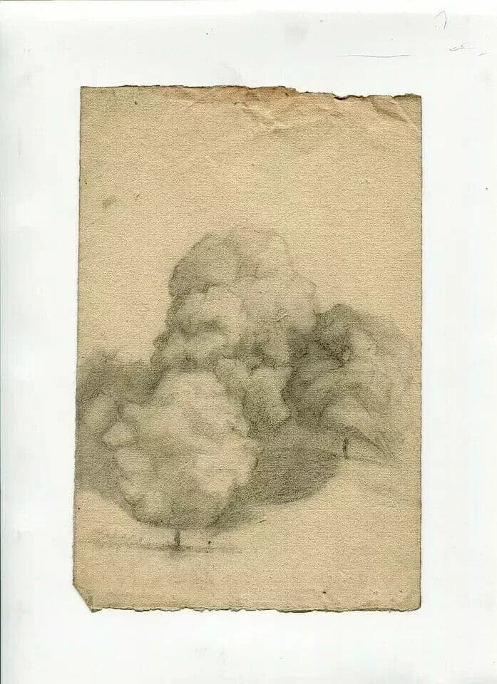 Antique Pencil Drawing 19th century Original Landscape with Trees image 5