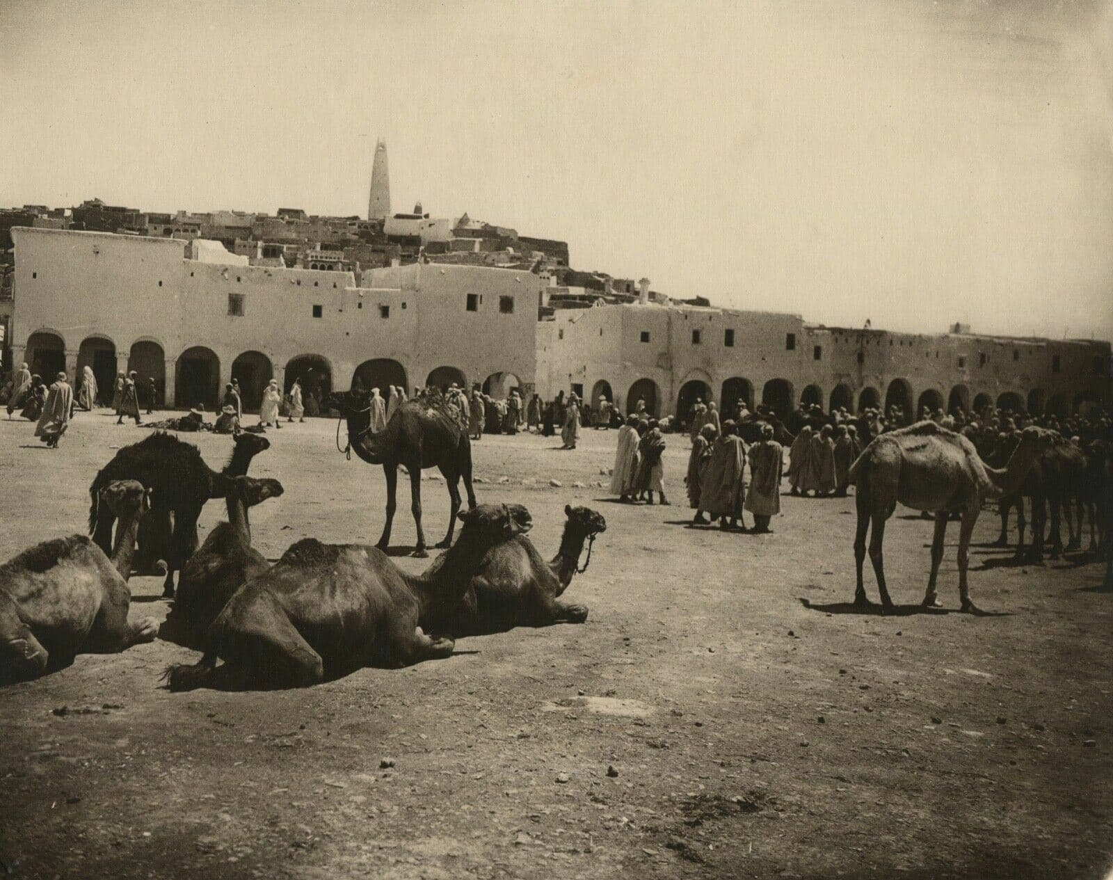 Vintage Photographs R.PROUHO - Gardaiah, Mzab Market, Algeria c. 1910