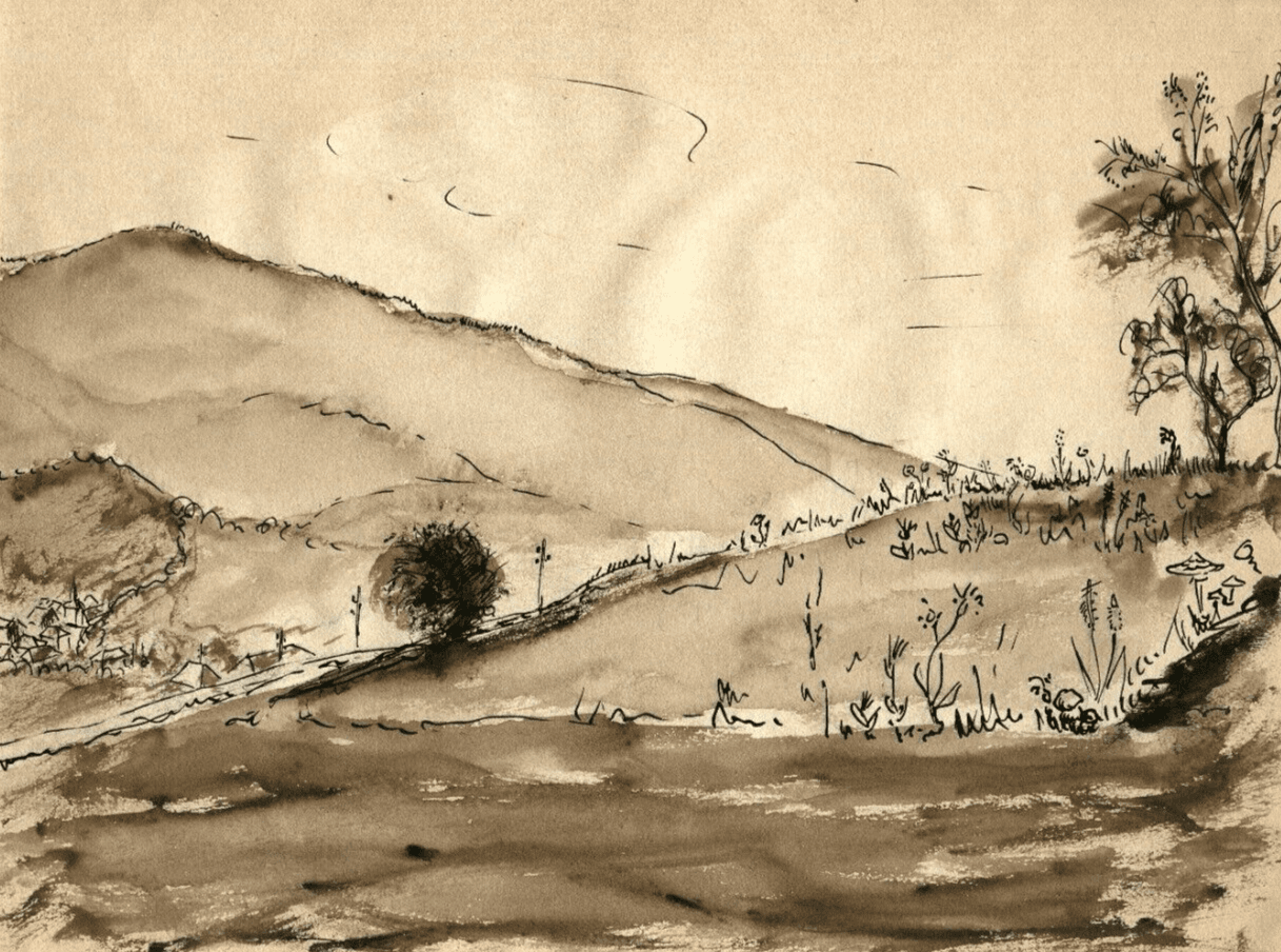 Vintage Ink Original Drawing Mountain landscape with Trees