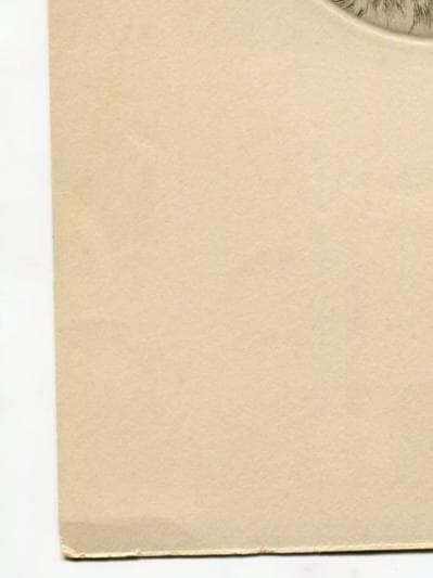 Antique Dog Portrait Illustration - St. Bernard Head Study - 19th Century Animal image 10