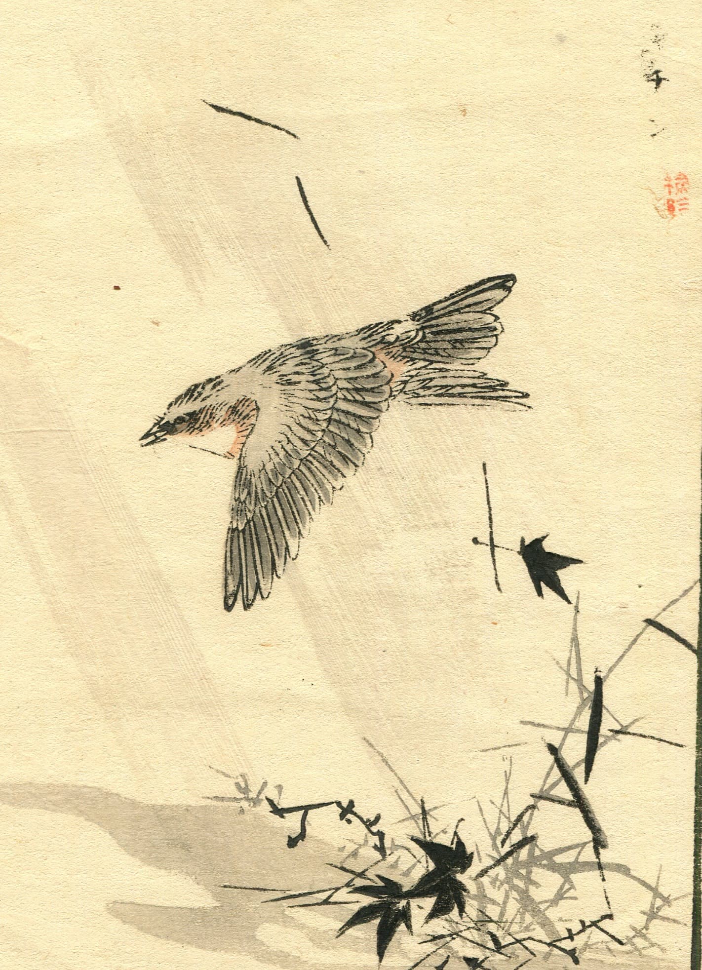 Sparrow Flying Japanese Ukiyo-e Print c. 1890