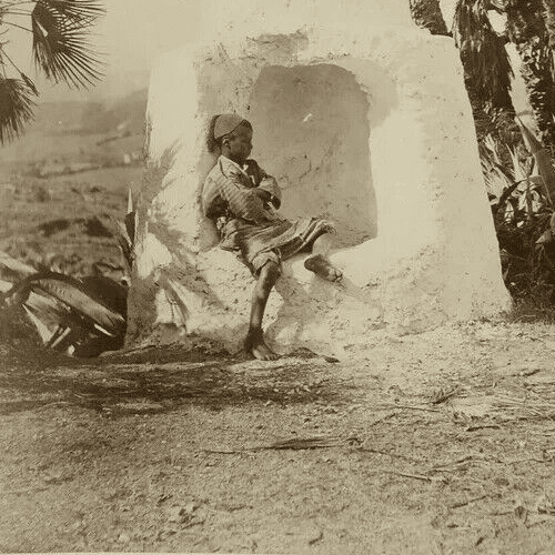 Photograph Paul Marie Famin Boy by a Zouaves Well of Bouzareah Albumen 1880