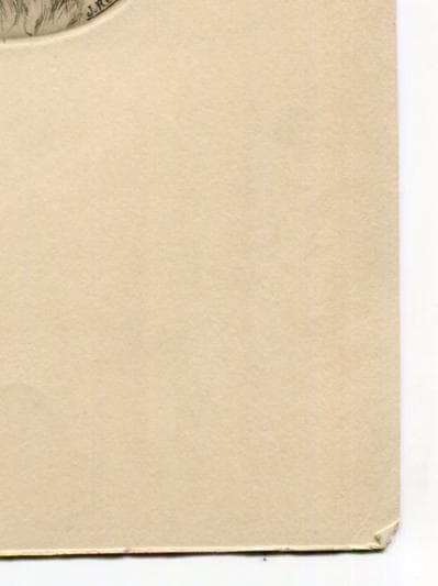 Antique Dog Portrait Illustration - St. Bernard Head Study - 19th Century Animal image 3