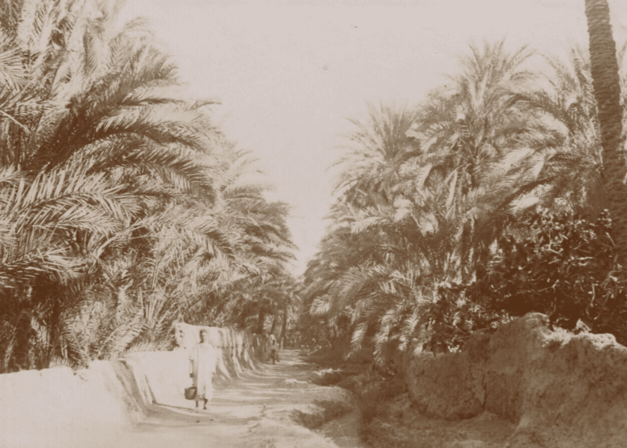 Vintage Photographs Orientalism, Africa, Algeria, Constantine Landscape